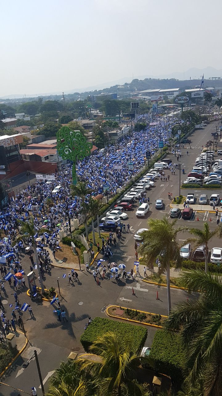 Foto: cortesÃ­a