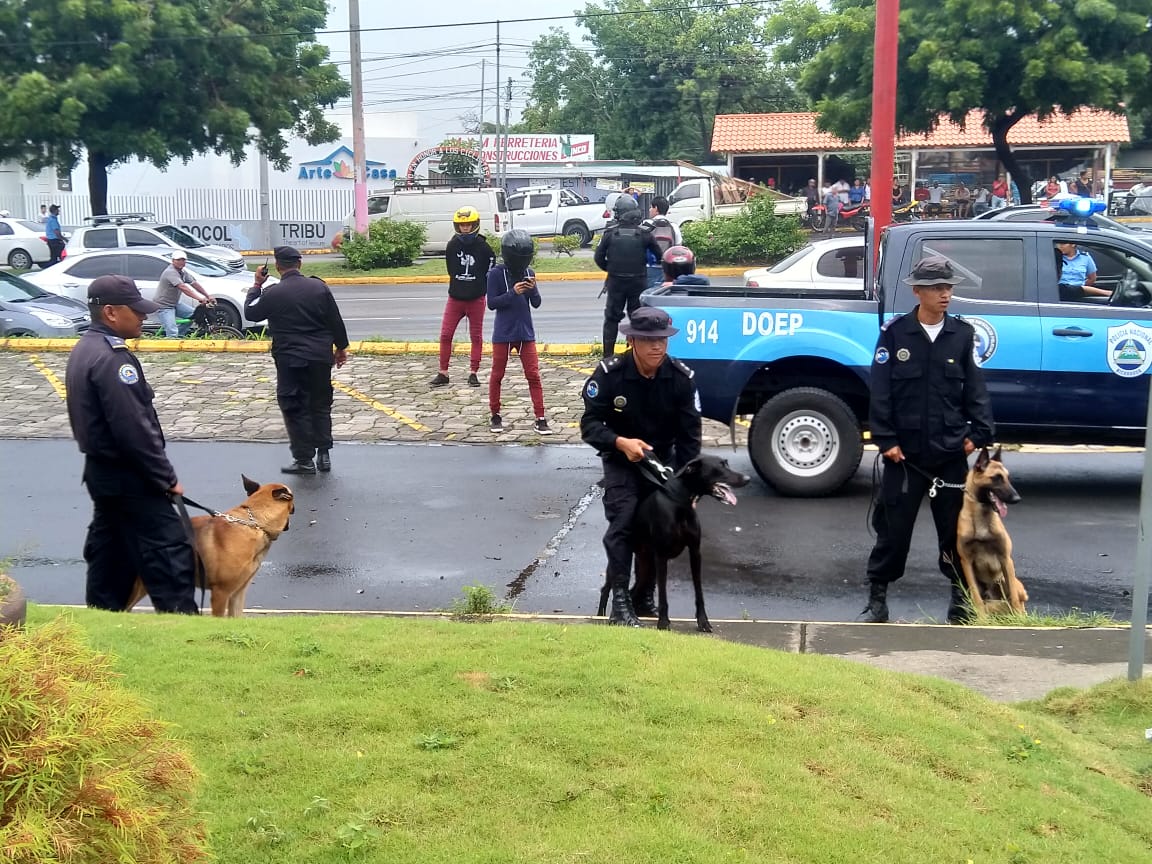 Técnica canina también fue desplegada. 