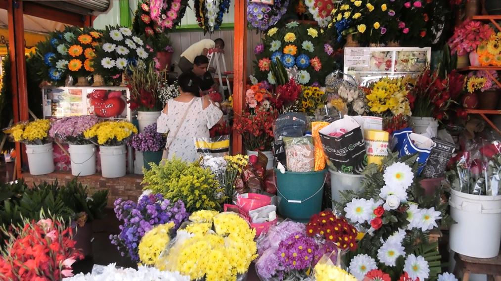 Comercio de flores con buenas expectativas