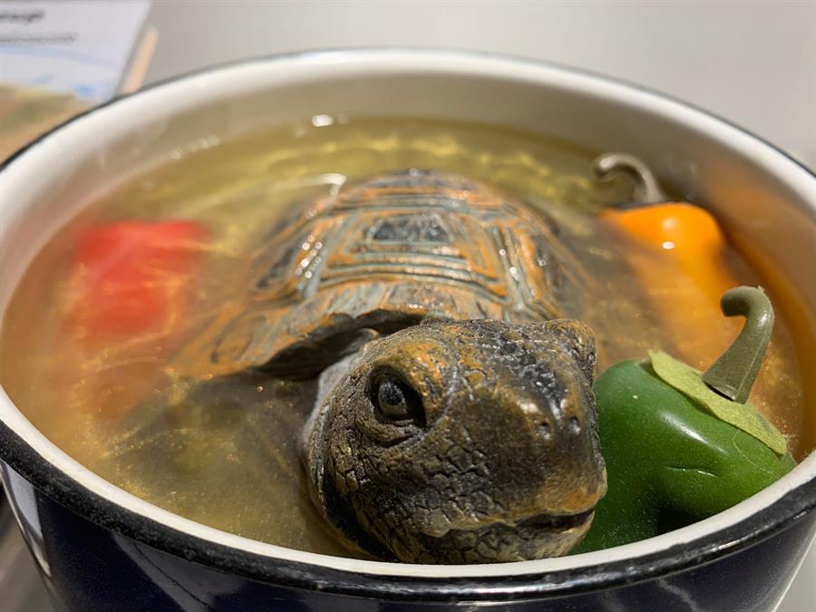 Sopa de tortuga (China) expuesta en el Disgusting Food Museum en Berlín.