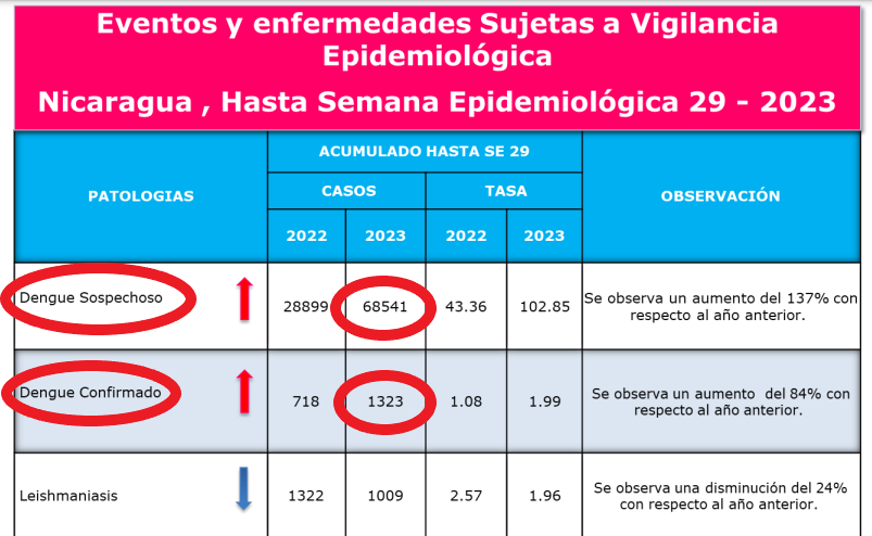 Boletín epidemiológico del Minsa, correspondiente a la semana 29. 