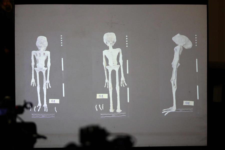 Fotografía de una diapositiva que ofrece detalles del peritaje realizado a dos piezas con apariencia de momias pequeñas que fueron incautadas./ EFE