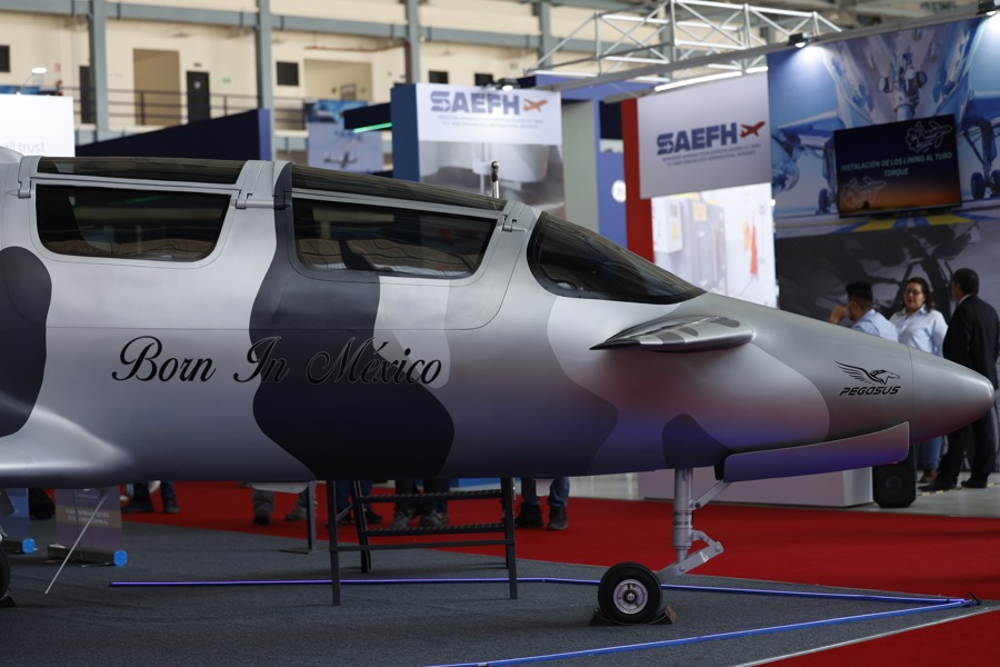 Fotografía del avión modelo Pegasus PE-210 A./ EFE