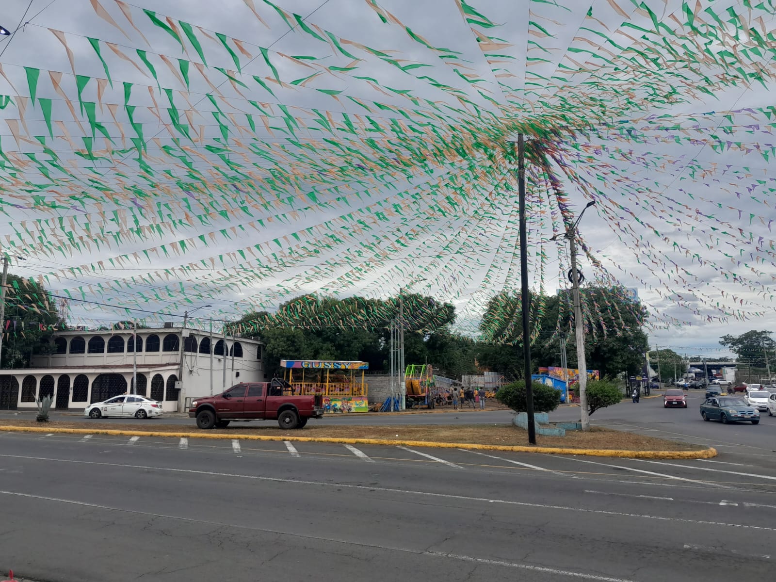 Tradicional palo lucio ya luce arreglado
